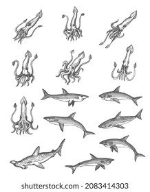 Squids, sharks and hammerhead shark animal vector sketches, ancient map design elements. Vintage hand drawn deep sea monsters with engraved tentacles, tails and fins, isolated underwater predators