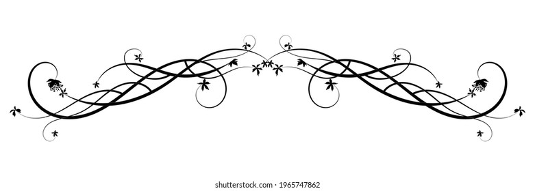 a squiggle of grapes and vines. simple drawing picture vector image