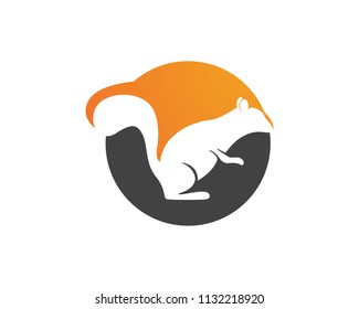 Squirel Animal Logo And Symbol Icon