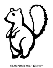 squirrel