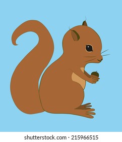 Squirrel