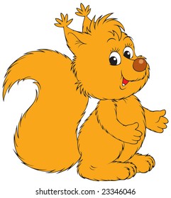 Squirrel