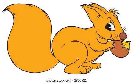 Squirrel