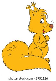 Squirrel