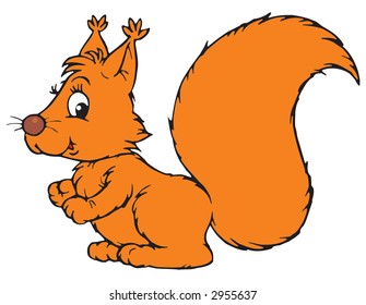 Squirrel