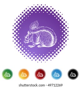 Squirrel
