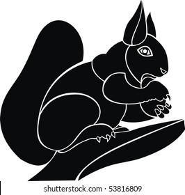 squirrel