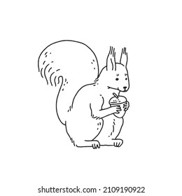 squirrel with acorn. Cartoon outline black white sketch illustration of cute animal character.