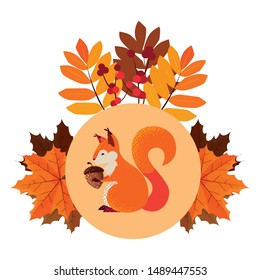 squirrel acorn happy autumn season flat design