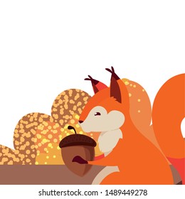 squirrel acorn happy autumn season flat design