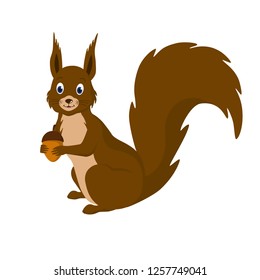 The squirrel with the acorn in his paws