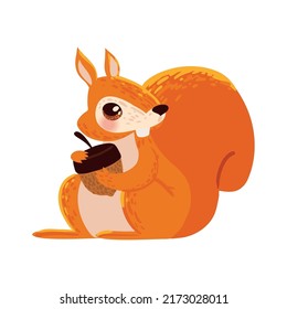 squirrel with acorn icon isolated