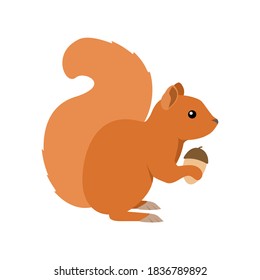 Squirrel with an acorn. Side view. Isolated vector illustration