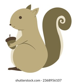 squirrel with acorn vector illustration