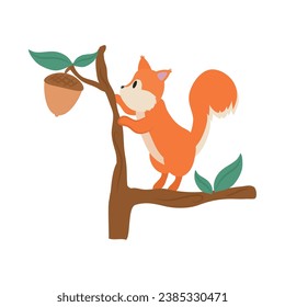 squirrel with acorn vector isolated