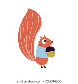 Squirrel with acorn, woodland animal, vector illustration
