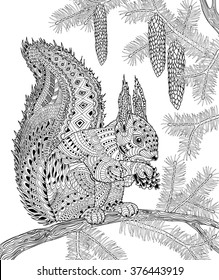 The Squirrel For Adult Anti Stress Coloring Page For Art Therapy, Illustration In Doodle Style. Vector Monochrome Sketch With Geometric Pattern Isolated On White Background.