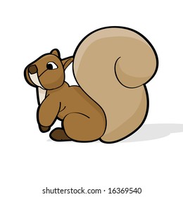 squirrel animal