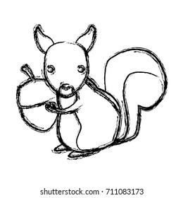 Squirrel animal cartoon