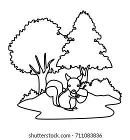 Squirrel animal cartoon