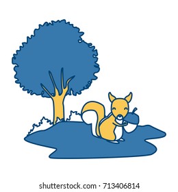 Squirrel animal cartoon