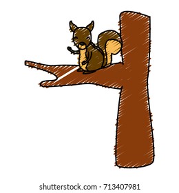 Squirrel animal cartoon