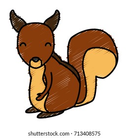 Squirrel animal cartoon