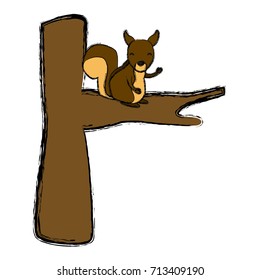 Squirrel animal cartoon