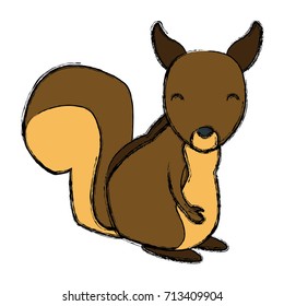 Squirrel animal cartoon