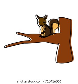 Squirrel animal cartoon