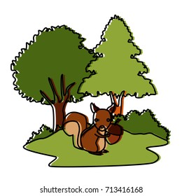 Squirrel animal cartoon
