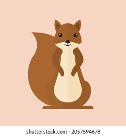 squirrel animal forest vector on pink background wildlife beast