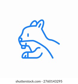 squirrel animal icon sign vector