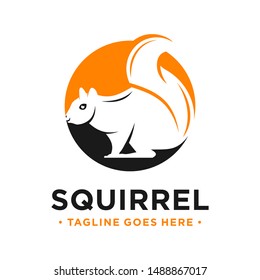 Squirrel animal logo design with circle