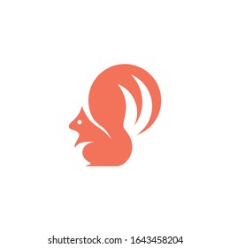 squirrel animal logo vector template