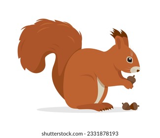 Animal de ardilla con nueces o bellotas. Carácter animal de bosque de mamíferos salvajes. Ardilla roja con cola esponjosa. Ilustración de icono del vector aislada en fondo blanco.