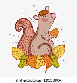 squirrel animal seating autumn leaves