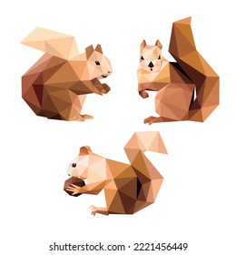 Squirrel Animal Set in low poly polygonal. Eating Squirrel Icon in abstract set. Vector Illustration of Squirrel
