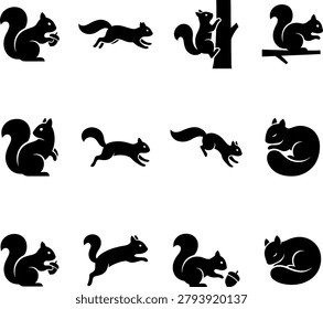 Squirrel animal silhouettes collection with squirrel