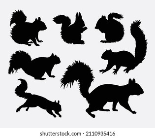 Squirrel animal silhouettes good use for symbol, sign or icon