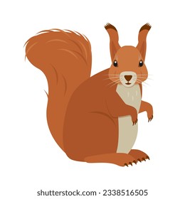 Squirrel animal. Wild mammal forest animal character. Red Squirrel with fluffy tail. Vector icon illustration on white background.