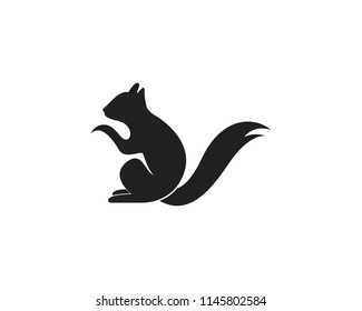 Squirrel animals logo and symbols template icons app