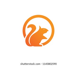Squirrel animals logo and symbols template icons app