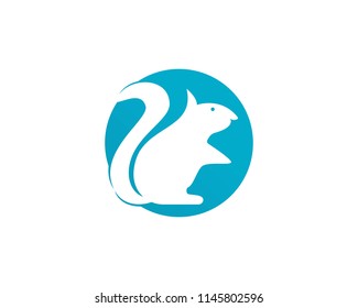 Squirrel animals logo and symbols template icons app