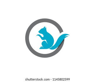 Squirrel animals logo and symbols template icons app