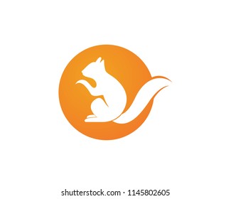 Squirrel animals logo and symbols template icons app