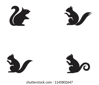 Squirrel animals logo and symbols template icons app
