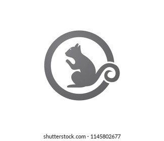 Squirrel animals logo and symbols template icons app