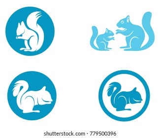 Squirrel animals logo and symbols template icons app