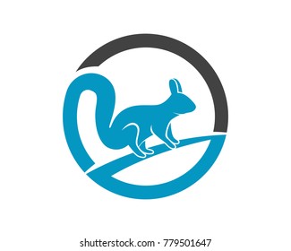 Squirrel animals logo and symbols template icons app